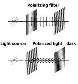 Polarizing Filter