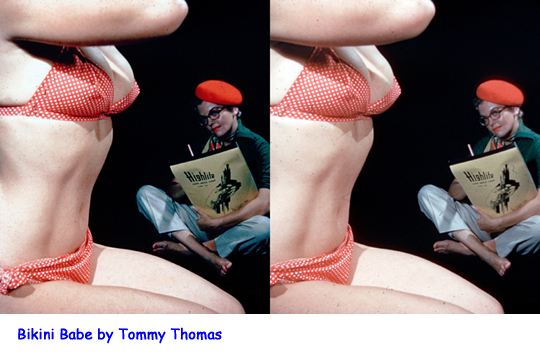 Bikini Babe by Tommy Thomas