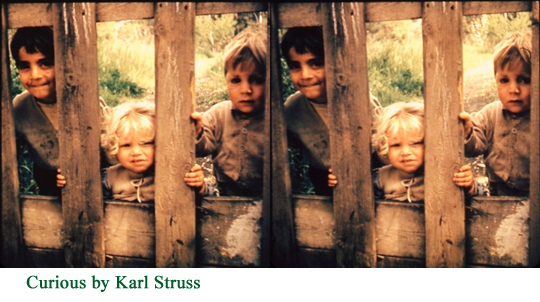 Curious by Karl Struss