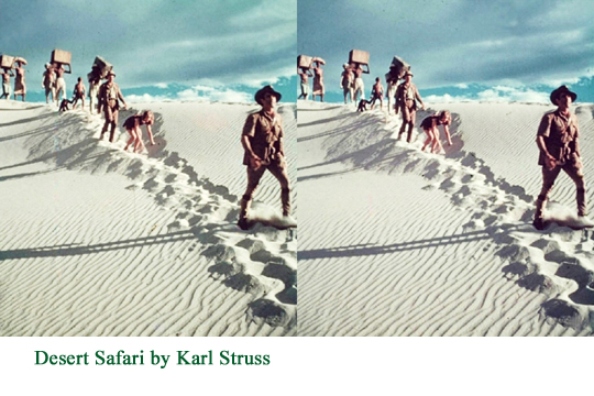 Desert Safari by Karl Struss
