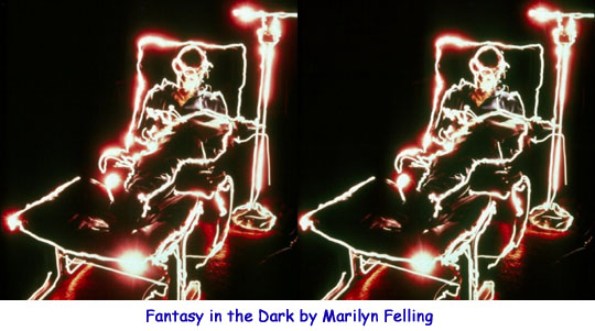 Fantasy in the Dark by Marilyn Felling