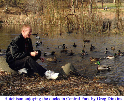 David Hutchison enjoying the ducks in Central Park