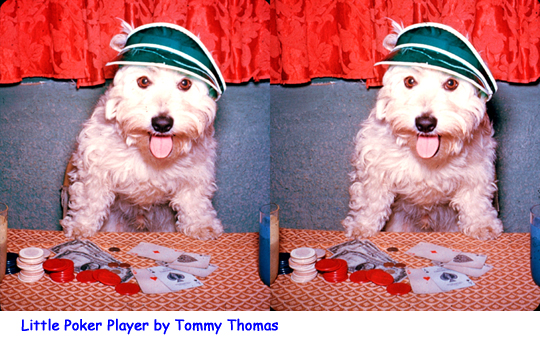 Little Poker Player by Tommy Thomas
