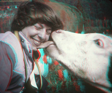 Susan Pinsky happily being licked by a cow-stereo by David Burder