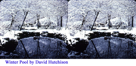 Winter Pool scene in Central Park by David Hutchison
