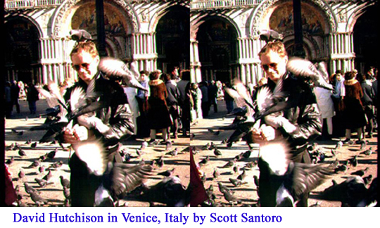 David Hutchison covered in pigeons in Venice, Italy