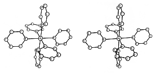 Molecule